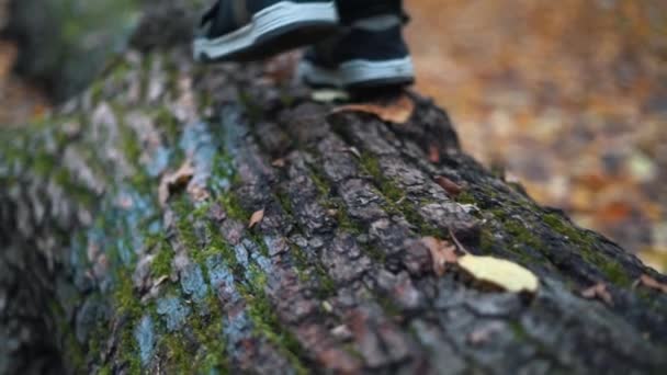 Los Pies Los Adolescentes Paso Paso Caminando Sobre Tronco Caído — Vídeos de Stock