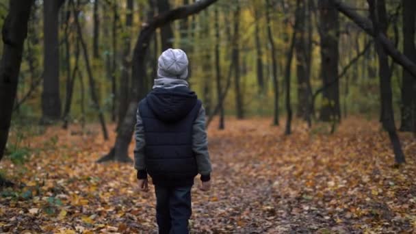 Niño Solo Con Una Chaqueta Azul Oscuro Bosque Otoño Filmación — Vídeos de Stock