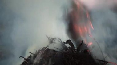 Alevleri veld yangın sırasında yakın çekim