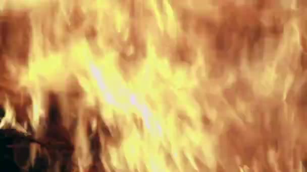 在天鹅绒火灾中的火焰特写镜头 — 图库视频影像