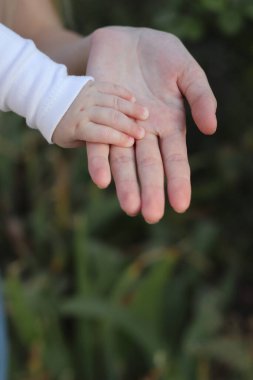 Tam güven. Hayatımız annemin ellerinde..