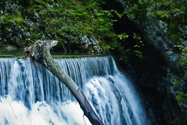 Cascada Cañón Vintgar Los Alpes Eslovenos Eslovenia — Foto de Stock