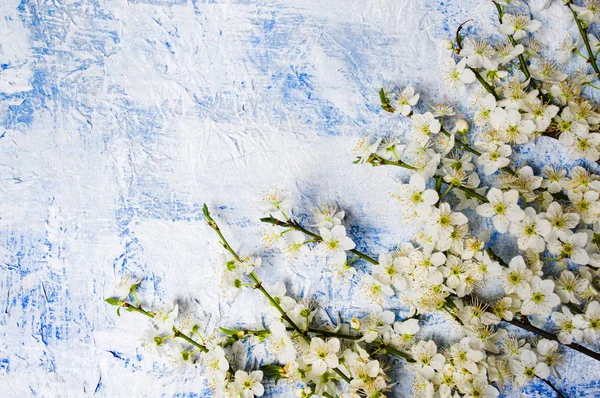 Arranjo Flores Lilás Branco Vista Superior Mesa Azul — Fotografia de Stock