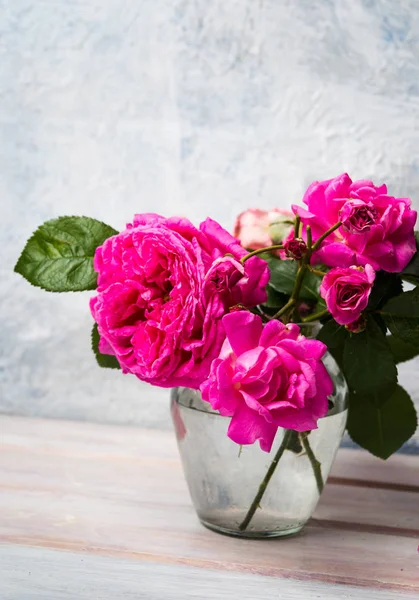 Flores Cor Rosa Domésticas Flor Vaso — Fotografia de Stock