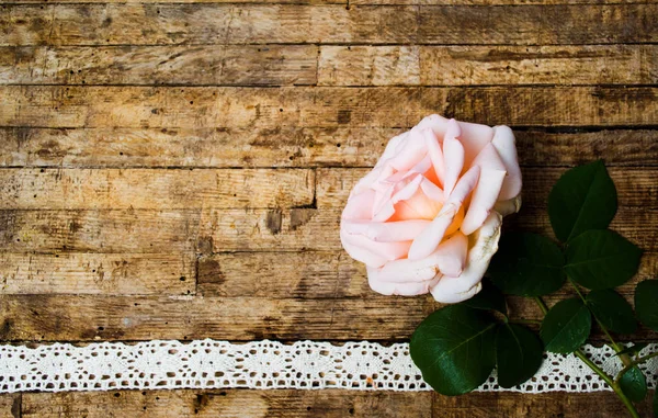 Homegrown Rózsa Elrendezése Egy Fából Készült Asztal Másol Hely — Stock Fotó
