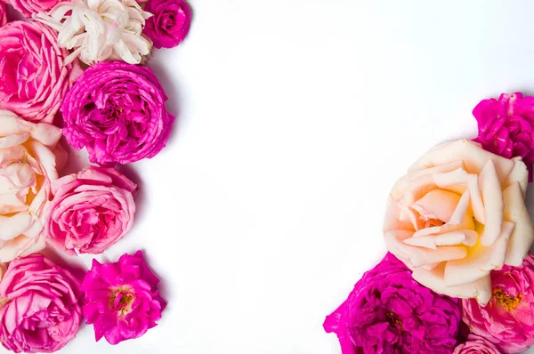 Disposizione Rose Colorate Con Spazio Copia Bianco — Foto Stock