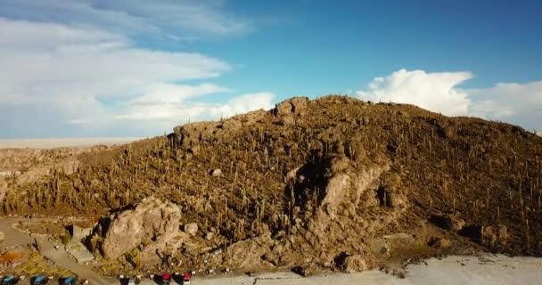 玻利维亚 Incahuasi 乌尤尼盐湖著名仙人掌岛鸟瞰图 — 图库视频影像