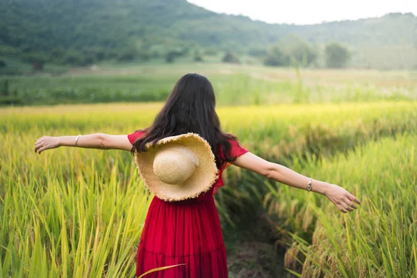 Chica Caminando Campo Arroz Con Vestido Rojo Sosteniendo Sombrero —  Fotos de Stock