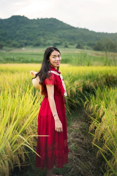 Dziewczyna Ryżowym Polu Ubrany Czerwony Strój Kapelusz — Zdjęcie stockowe