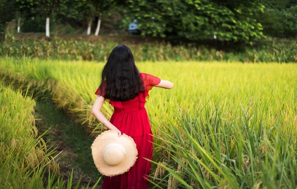 Menina Andando Campo Arroz Usando Vestido Vermelho Segurando Chapéu — Fotografia de Stock