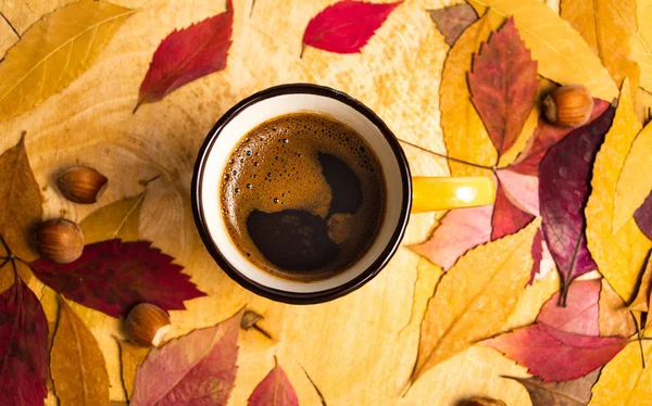 Tasse Kaffee Und Gefallene Herbstblätter — Stockfoto