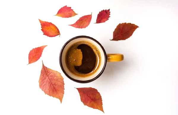 Tasse Kaffee Und Gefallene Herbstblätter — Stockfoto