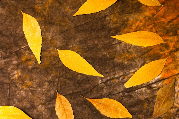 Őszi Levelek Háttér Természetes Fából Készült Fedélzet Val Másol Hely — Stock Fotó