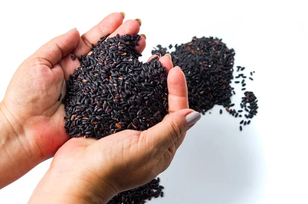 Manos Femeninas Sosteniendo Granos Arroz Negro Aislados — Foto de Stock