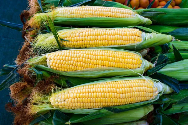 Fresh Corns Market Row — Stock Photo, Image