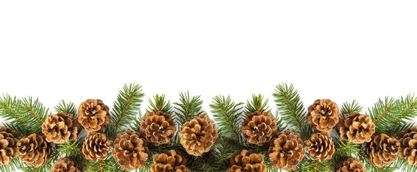Pine Cones Festive Background Fir Branch Flat Lay — Stock Photo, Image