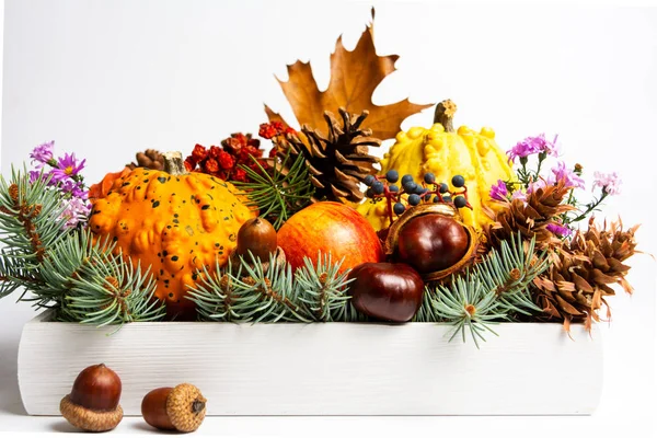 Otoño Símbolos Festivos Una Caja Madera — Foto de Stock