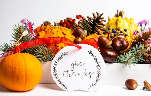 お祝いの秋の装飾と感謝祭の日カード — ストック写真
