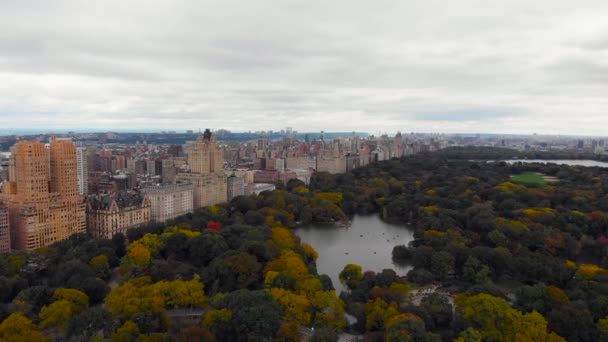 Вид Нью Йорка Воздуха Центрального Парка — стоковое видео