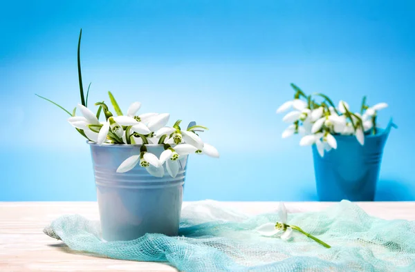 Flores Gota Nieve Jarrón Lata Sobre Fondo Azul —  Fotos de Stock