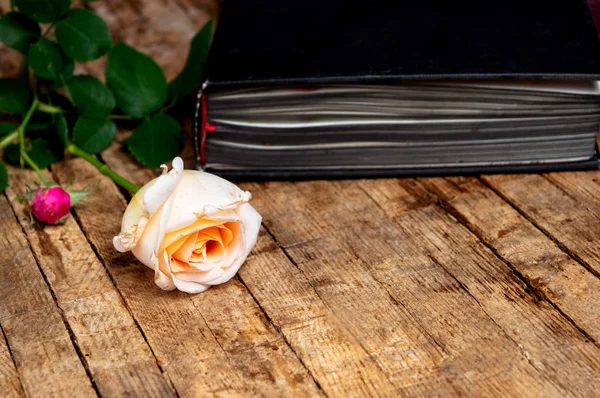 Homegrown Rózsa Vintage Könyv Egy Fából Készült Asztal — Stock Fotó
