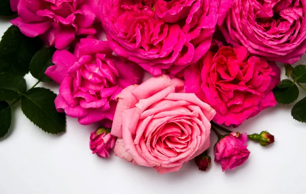 Arranjo Rosas Rosa Fundo Branco Vista Superior — Fotografia de Stock