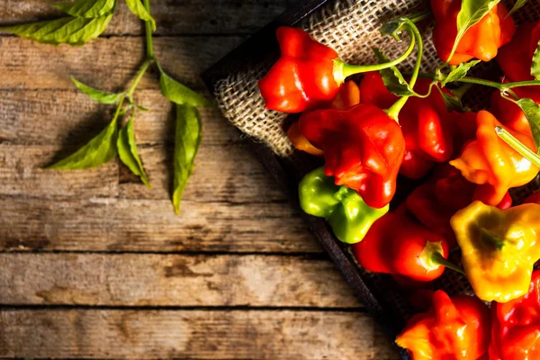 Bischofskrone Blumenförmige Dekorative Paprika Auf Holztisch — Stockfoto