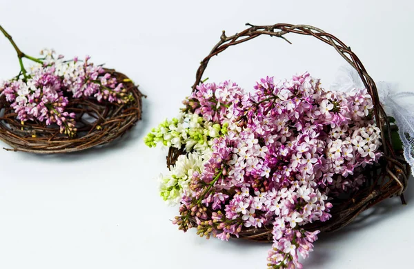 Flores Lilás Coloridas Uma Caixa Vime — Fotografia de Stock