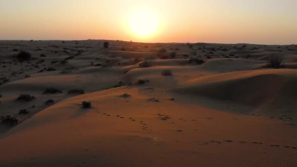 Desert Sunset Sand Dunes Landscape Aerial Footage — Stock Video