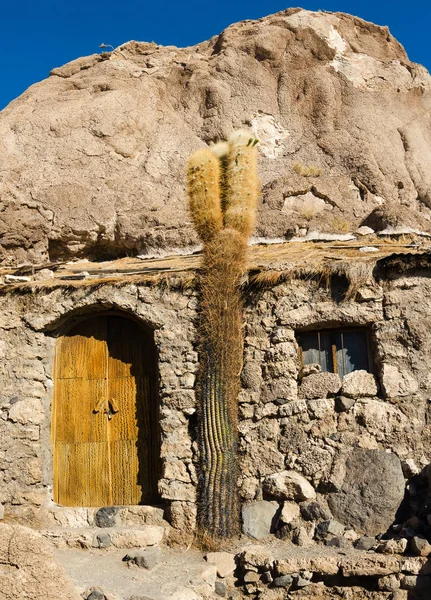 Гигантский Кактус Построенный Каменном Доме Пустыне Боливии — стоковое фото
