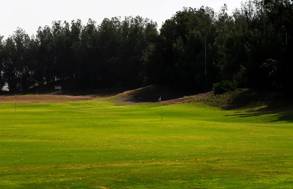 Campo de golfe coberto com bolas de golfe — Fotografia de Stock