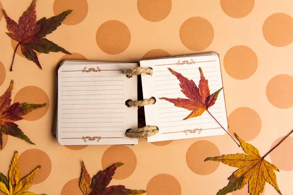 Kleines Notizbuch und Herbstblätter auf dem Tisch — Stockfoto