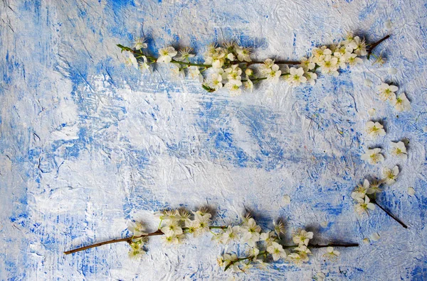 Arreglo de flores lila blanca sobre mesa azul —  Fotos de Stock