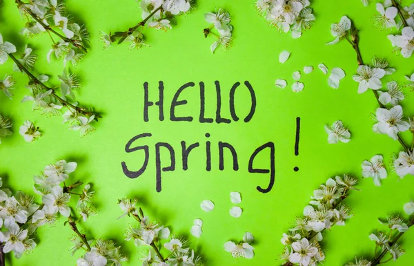 Hello spring card with cherry blossom flowers — Stock Photo, Image