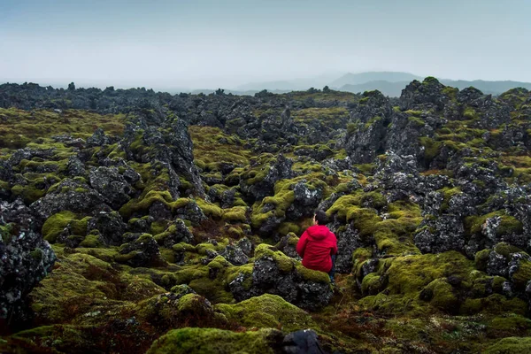 在冰岛欣赏熔岩场景的人 — 图库照片