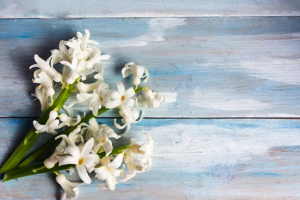 Bouquet de fleurs de jacinthe sur une table en bois — Photo