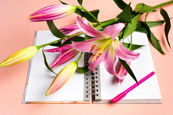 Gyönyörű Lily virág és egy notebook a rózsaszín háttér — Stock Fotó