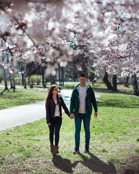 Pareja joven caminando entre flores de cerezo —  Fotos de Stock