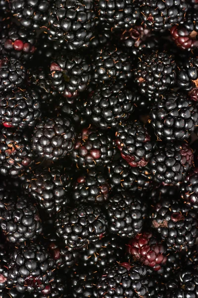Bunch of fresh blackberries close up — Stock Photo, Image
