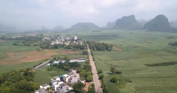 Reis Und Zuckerrohrfelder Und Karstlandschaft Von Südchina Luftaufnahme — Stockvideo