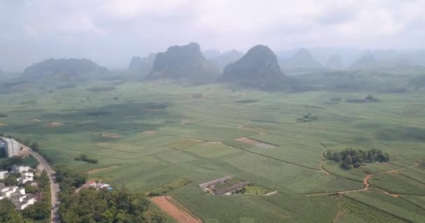 Rijst Suikerrietvelden Karstlandschap Van Zuid China Luchtfoto — Stockvideo