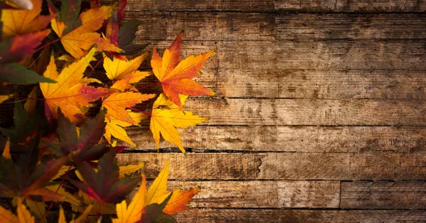 Őszi levelek, a fa háttér-val másol hely — Stock Fotó