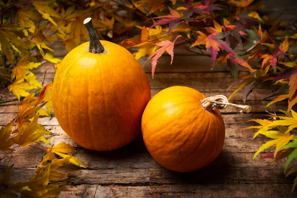 Hojas caídas de otoño y calabaza pequeña — Foto de Stock