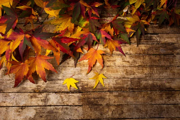 Őszi levelek, a fa háttér-val másol hely — Stock Fotó