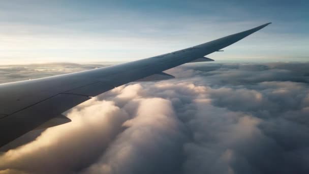 落ち着いた夕日の窓の眺めと雲の上を巡航する飛行機 — ストック動画