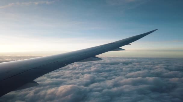 Flugzeug Über Wolken Mit Beruhigendem Blick Auf Den Sonnenuntergang — Stockvideo