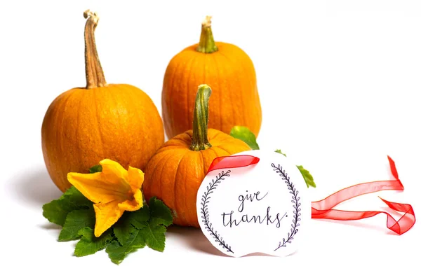 Small pumpkins on white background with Thanksgiving note — Stock Photo, Image