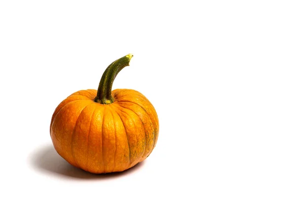 Small pumpkins on white background isolated — ストック写真