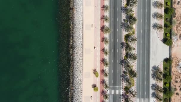 Strada Costiera Con Palme Pista Corsa Nell Isola Marjan Ras — Video Stock