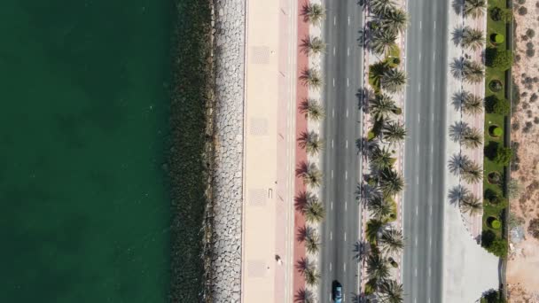 ヤシの木とラアス ハイマのMarjan島でのランニングトラックを持つ海岸道路はUaeの航空ビューを記念しています — ストック動画